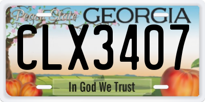 GA license plate CLX3407