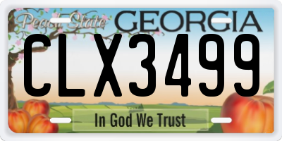 GA license plate CLX3499