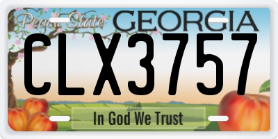 GA license plate CLX3757