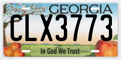 GA license plate CLX3773