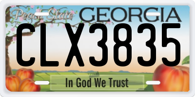 GA license plate CLX3835