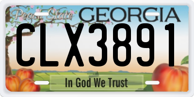 GA license plate CLX3891