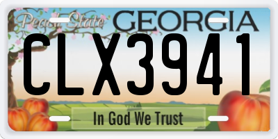 GA license plate CLX3941