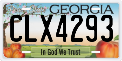 GA license plate CLX4293