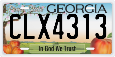 GA license plate CLX4313