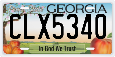GA license plate CLX5340
