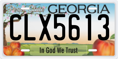 GA license plate CLX5613