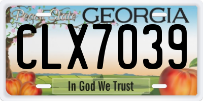 GA license plate CLX7039