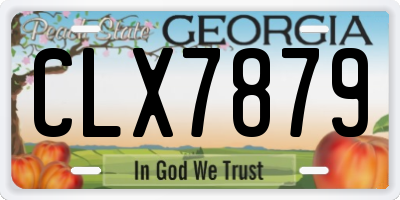 GA license plate CLX7879