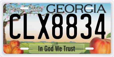 GA license plate CLX8834