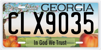 GA license plate CLX9035