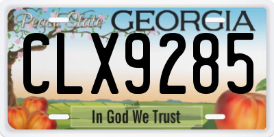 GA license plate CLX9285