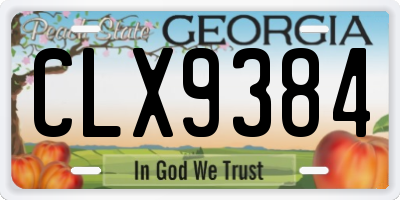 GA license plate CLX9384