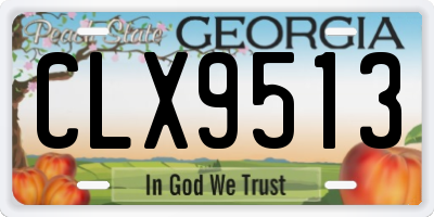 GA license plate CLX9513