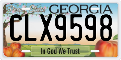 GA license plate CLX9598