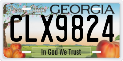 GA license plate CLX9824