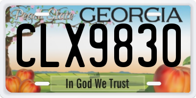 GA license plate CLX9830