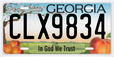 GA license plate CLX9834