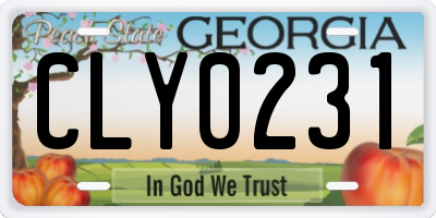 GA license plate CLY0231