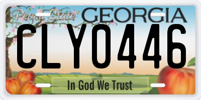 GA license plate CLY0446
