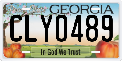 GA license plate CLY0489