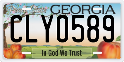 GA license plate CLY0589