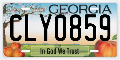 GA license plate CLY0859