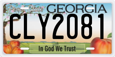 GA license plate CLY2081
