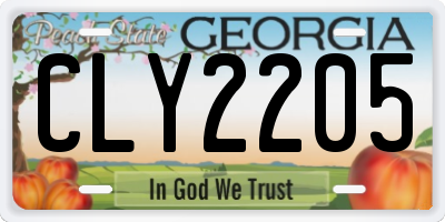 GA license plate CLY2205