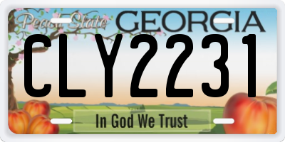 GA license plate CLY2231