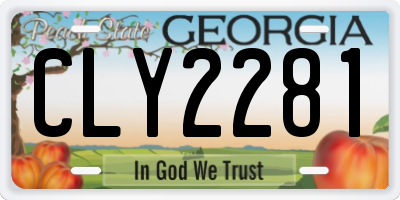 GA license plate CLY2281