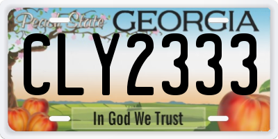 GA license plate CLY2333