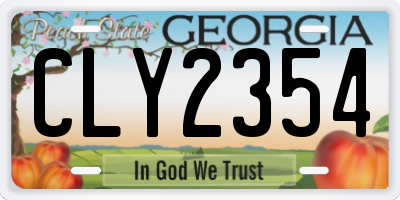 GA license plate CLY2354