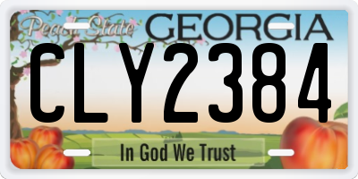 GA license plate CLY2384