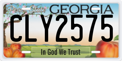 GA license plate CLY2575