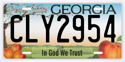 GA license plate CLY2954