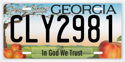 GA license plate CLY2981