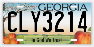 GA license plate CLY3214