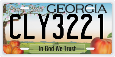 GA license plate CLY3221