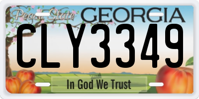 GA license plate CLY3349