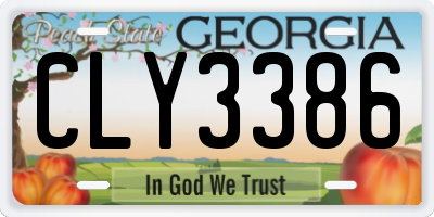 GA license plate CLY3386