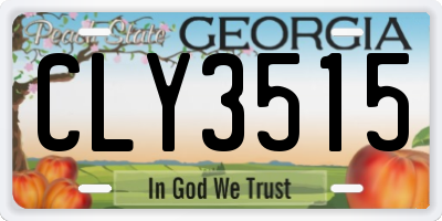 GA license plate CLY3515