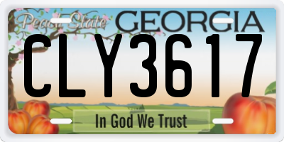 GA license plate CLY3617