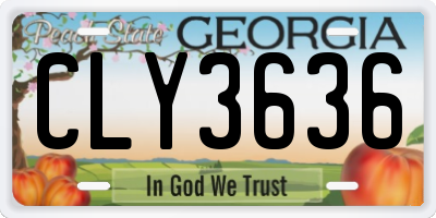 GA license plate CLY3636