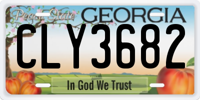 GA license plate CLY3682