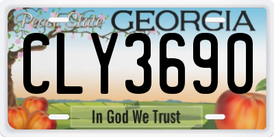 GA license plate CLY3690