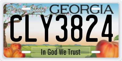 GA license plate CLY3824