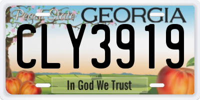 GA license plate CLY3919