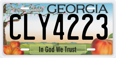 GA license plate CLY4223