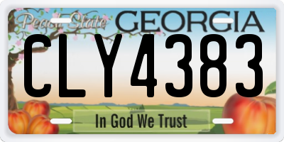 GA license plate CLY4383